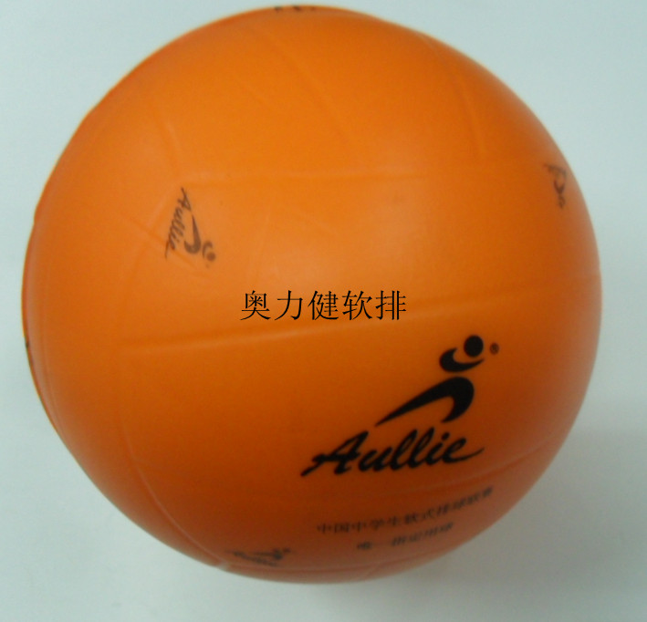 Ballon de volley - Ref 2016520 Image 6
