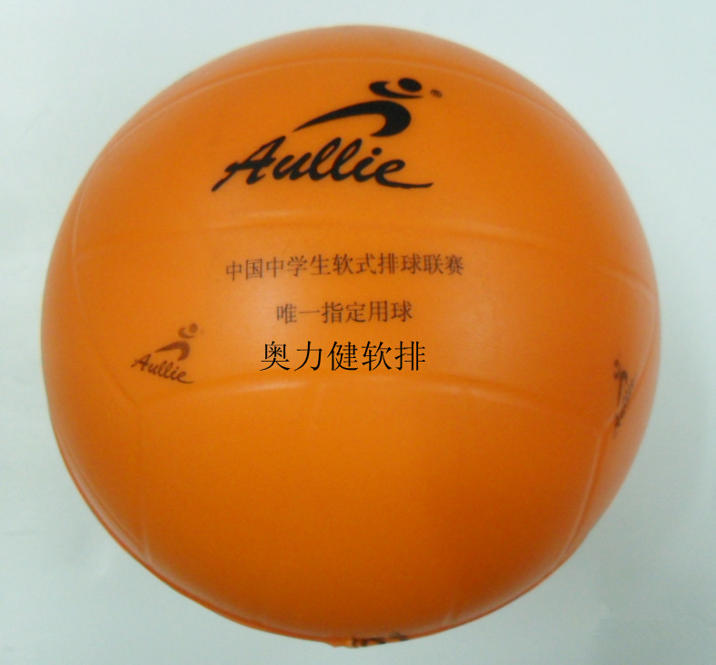 Ballon de volley - Ref 2016520 Image 8