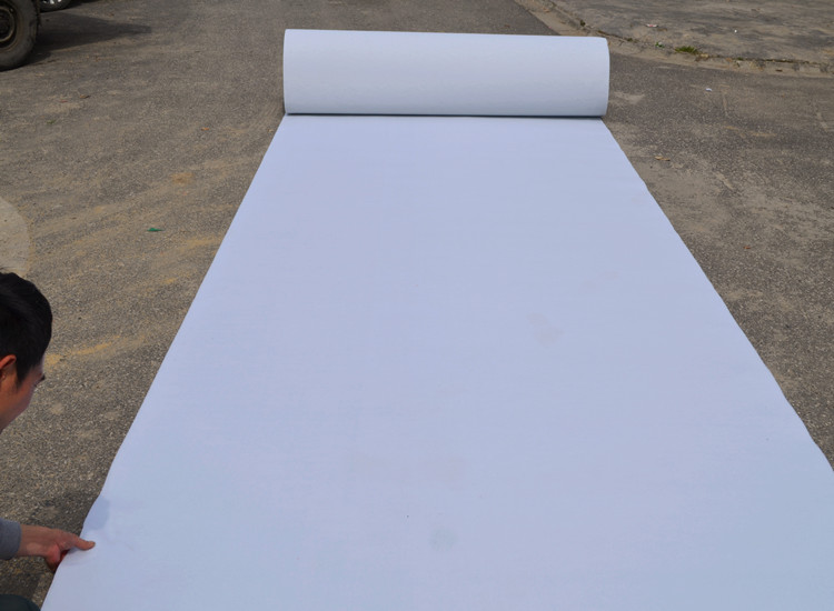 Dày chải thảm đỏ cưới màu đỏ chải thảm triển lãm thảm trắng lạc đà màu xanh xám hồng thảm nhung trải sàn
