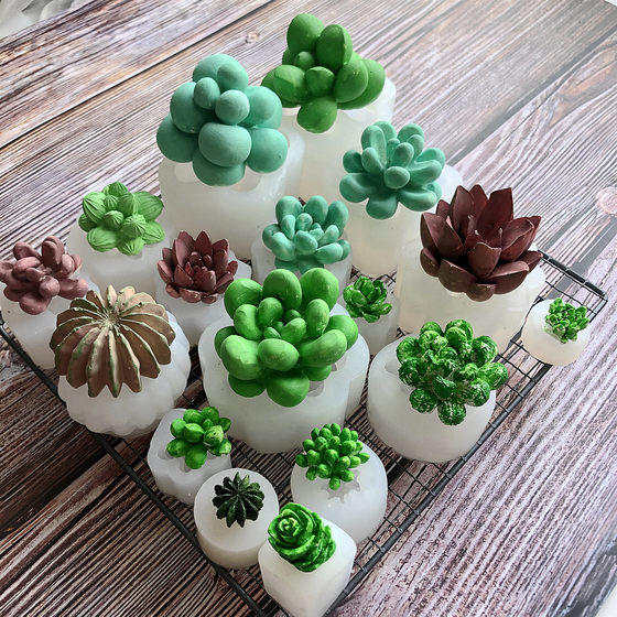 3D立体仿真多肉硅胶模具diy巧克力慕斯蛋糕模仙人掌香薰蜡烛模具