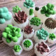 3D立体仿真多肉硅胶模具diy巧克力慕斯蛋糕模仙人掌香薰蜡烛模具