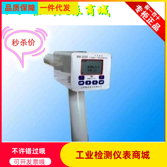 RM2030 handheld X-γ radiometer dose equivalent rate absorption dose rate ray detection instrument
