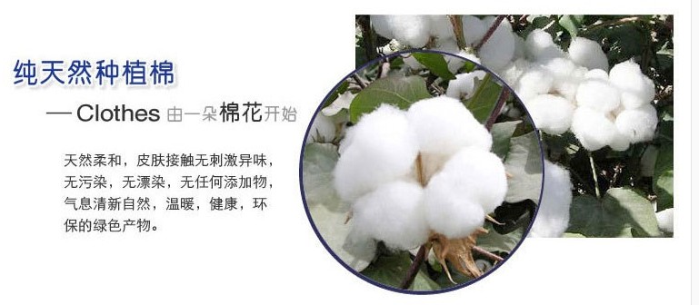 3 món đồ của người trung niên và người cao tuổi không có áo ngực bằng thép mùa hè áo cotton mỏng cotton mẹ đồ lót nữ bra ao 2 day