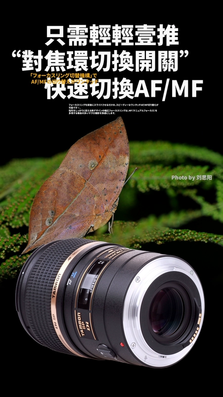 [Cửa hàng hàng đầu] Tamron 90mm F / 2.8MACRO1: 1 macro vẫn còn hoa và cây ống kính Portrait 272E SLR