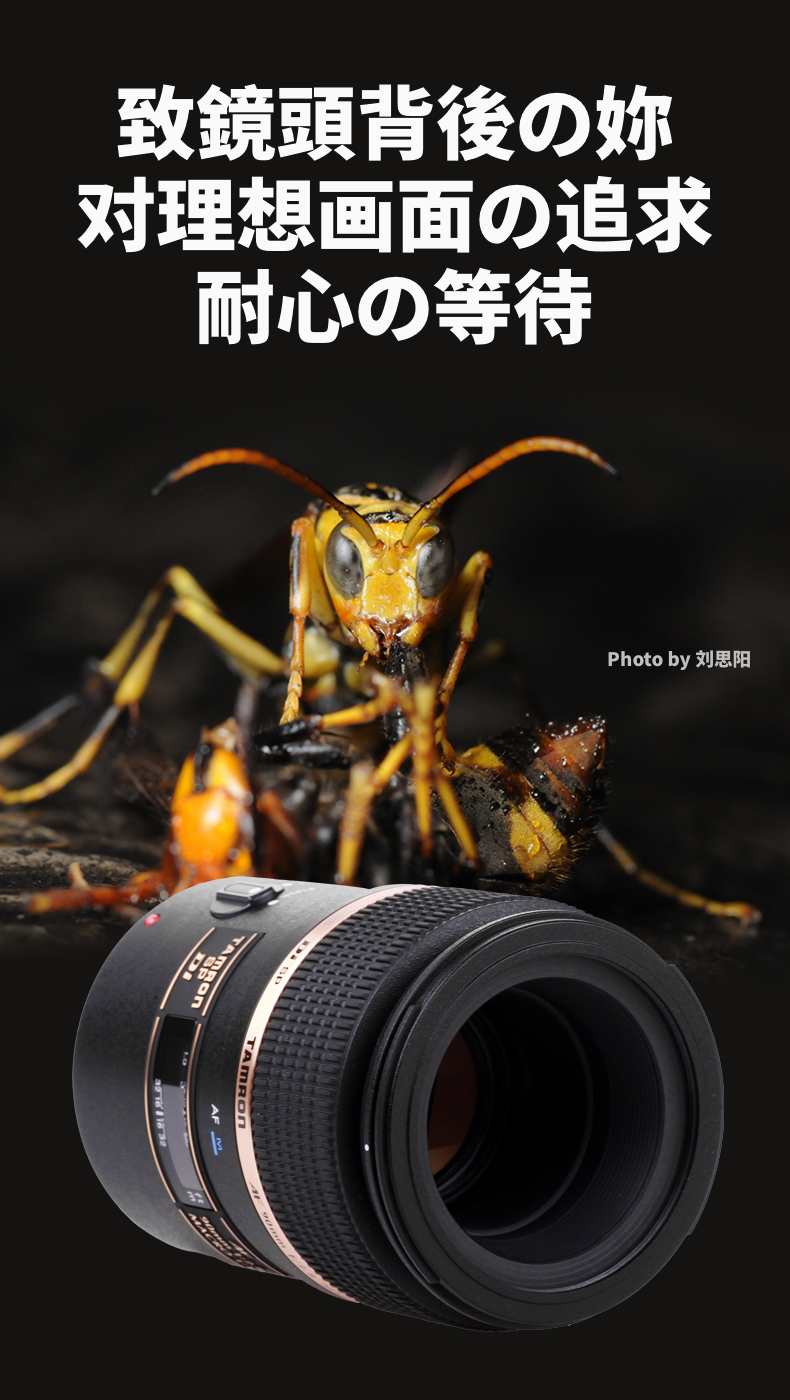 [Cửa hàng hàng đầu] Tamron 90mm F / 2.8MACRO1: 1 macro vẫn còn hoa và cây ống kính Portrait 272E SLR