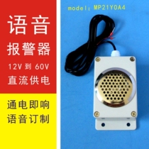Voice Alarm MP3 Format 12V24V36V48V60V General Energized Sound Customizable Voice