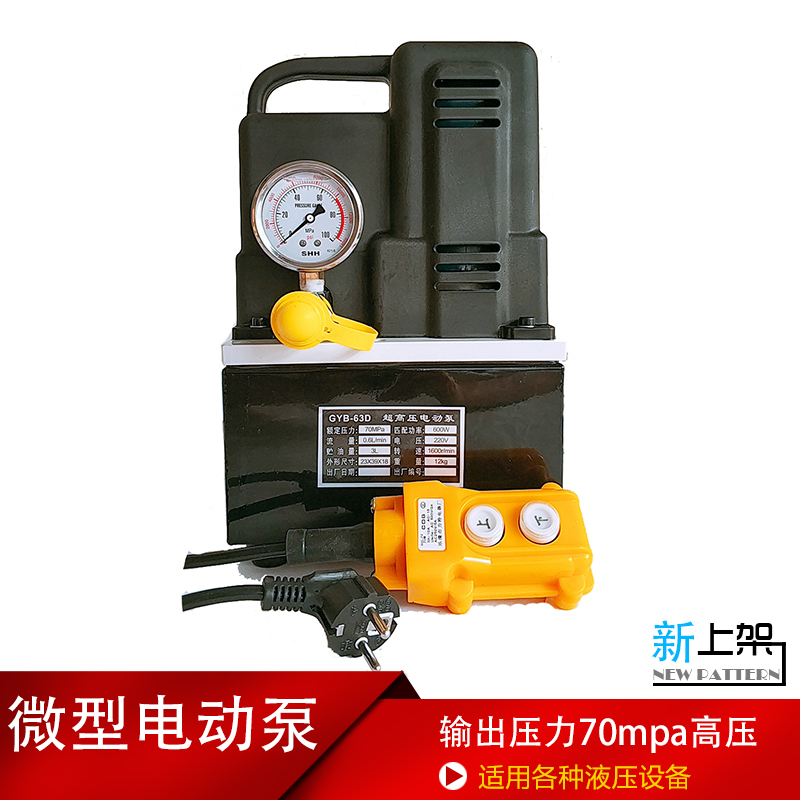 Electric hydraulic pump portable super small high pressure mini micro oil press plunger pump solenoid valve pump