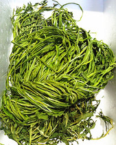 Gondish tunic dried vegetable dried mountain jellyfish lettuce lettuce stem for 500g 2 kilos 