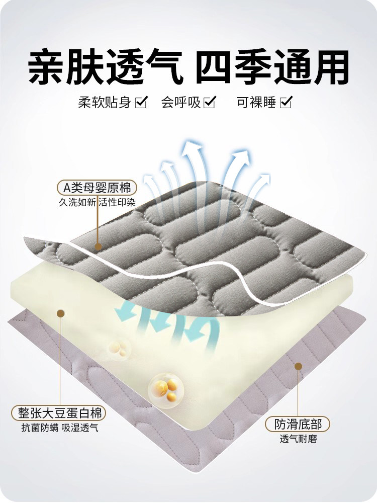 Class a Quilted Fitted Sheet 2025 New Thickened Full-Cover Zipper Bed Cover Simmons Mattress Protector Universal for All Seasons 3