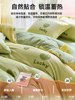 Winter Thickened Milk Velvet Four-Piece Bedding Set 2025 New Double-Sided Fleece Coral Fleece Bed Sheet Duvet Cover Three-Piece Set