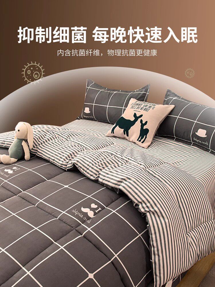 Quilt for Spring and Autumn, All-Season Use, Quilt Core for Summer, Student Dormitory Single Bed Quilt, Winter Quilt, Thickened and Warm, Winter Cotton Quilt