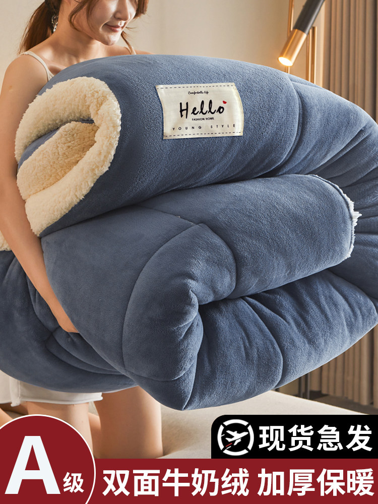 Lamb Wool Quilt 2025 New Winter Cotton Quilt Core, Single Dormitory Autumn and Winter Quilt, Thickened and Warm 5kg