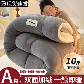 Lamb Wool Quilt 2025 New Winter Cotton Quilt Core, Single Dormitory Autumn and Winter Quilt, Thickened and Warm 5kg