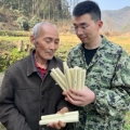 小帆手工陈艾条