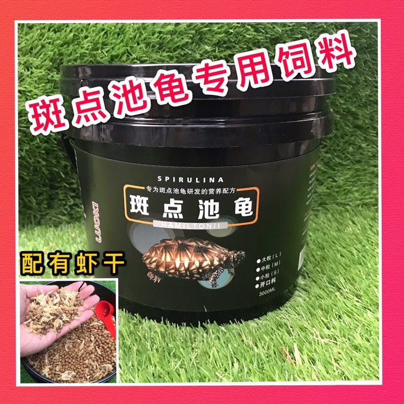 Small spotted turtle small spotted pond turtle grain feed deep water turtle grain feed pet tortoise turtle small turtle grain turtle feed