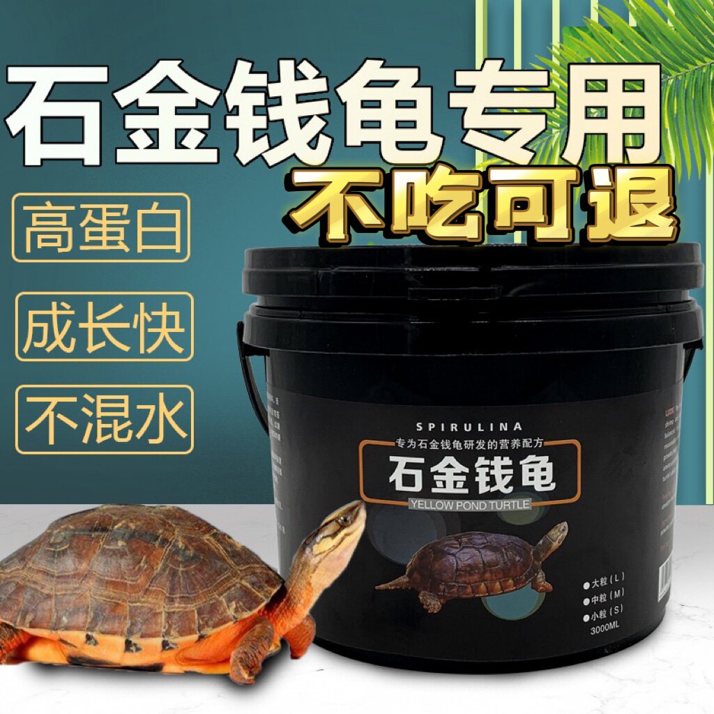 Stone Gold Money Turtle Grain Feed Turtle Feed Stone Tortoise Turtle Special Freshwater Shrimp Dry Little Turtle Universal Food Tortoise Grain 