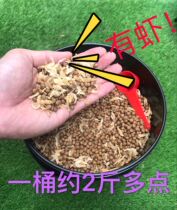 Turtle grain tortoise feed turtle tortoise grain grass turtle feed grass turtle grain tortoise feed stone golden money Turtle Feed