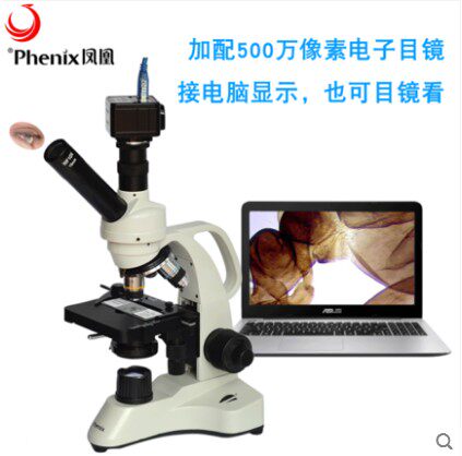 Phoenix Microscope Optical Sperm Breeding Biology Research Cell Ovulation PH35-TV-1600X Look At Powder-Taobao
