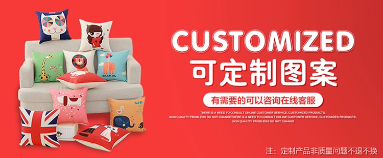 Mùa thu và đệm mỏng sofa lưng văn phòng eo thiết kế hoạt hình gối 45x45cm60x60cm không lõi