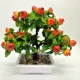 Mô phỏng cây ăn quả bonsai cam táo đào lựu chậu trong nhà phòng khách trang trí hoa giả trang trí - Trang trí nội thất trang tri phong tro