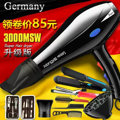 Hair salon hair dryer household shop dedicated high power 3000 hair stylist hair dryer tube negative ion hair care