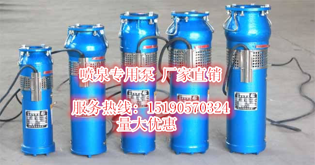 QSP25-25-3 QSP40-18-3 QSP432-20-3 Fountain Special Pump Manufacturer Direct Sales