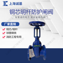 Civil defense special protective gate valve Ductile bright rod copper core FZ45T-16 protective bright rod gate valve dn50 100