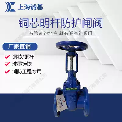 Civil air defense special protective gate valve ball ink rod copper core FZ45T-16 protective open rod gate valve dn50 100