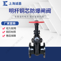 Open rod flange copper core gate valve Z41T-16 sewage fire valve Cast iron manual gate valve DN50 DN65