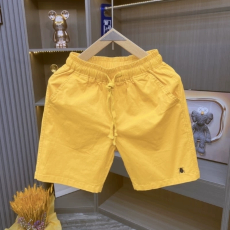 2025 New Summer Style Pure Cotton Embroidered Shorts Men's Casual Outer Wear Versatile Five-Quarter Pants Couple's Same Style Beach Pants