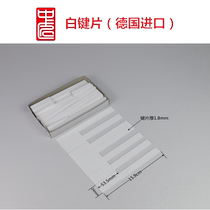 Medium Artisan Piano Tool White Key Sheet German Import Kawoi Yamaha Matt Ordinary Five Kinds