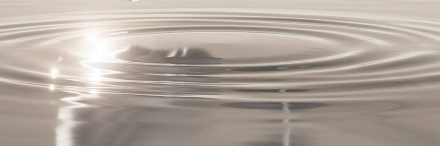 правительство субсидия От 10 