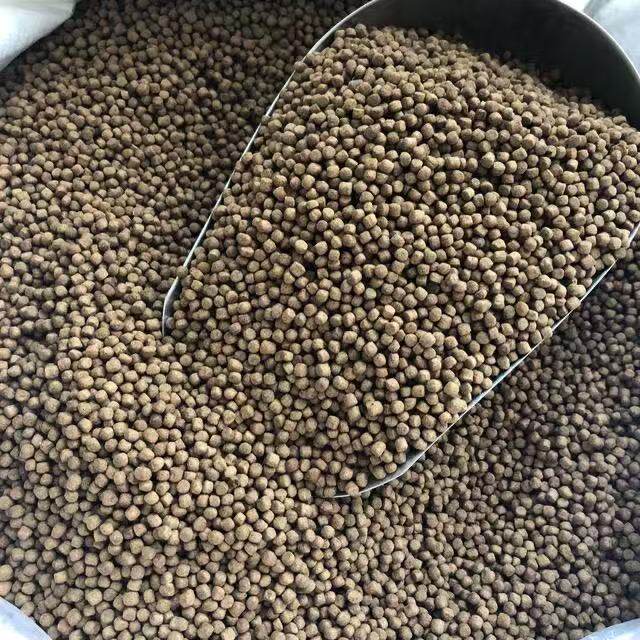 ປາຈືນອາຫານປາຄາບ, ຄາບເງິນ, carp ເງິນ, herring, ປາໃຫຍ່ສີ່, ປາ Wuchang, carp crucian, ອາຫານ carp ເປີດ, ທາດໂປຼຕີນສູງ