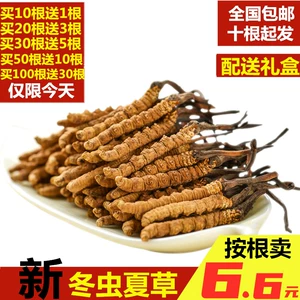 Fresh Cordyceps Sinensis, тибетский, искренний цинхай Юшу.