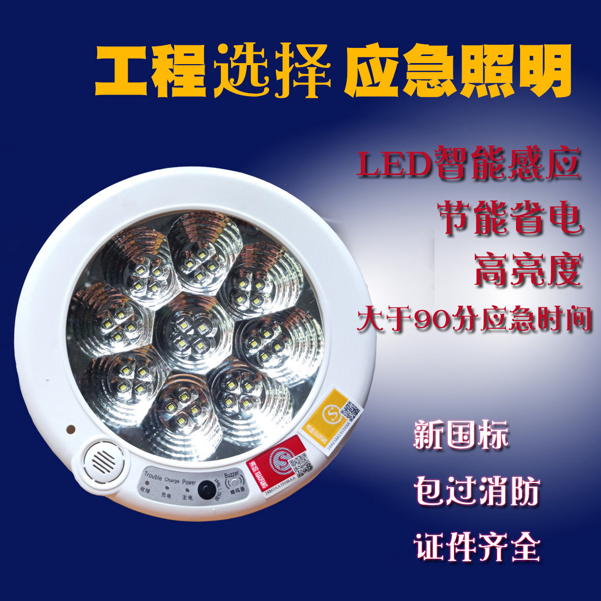 Fire emergency lighting High brightness new national standard LED lighting LED power saving emergency ceiling lamp