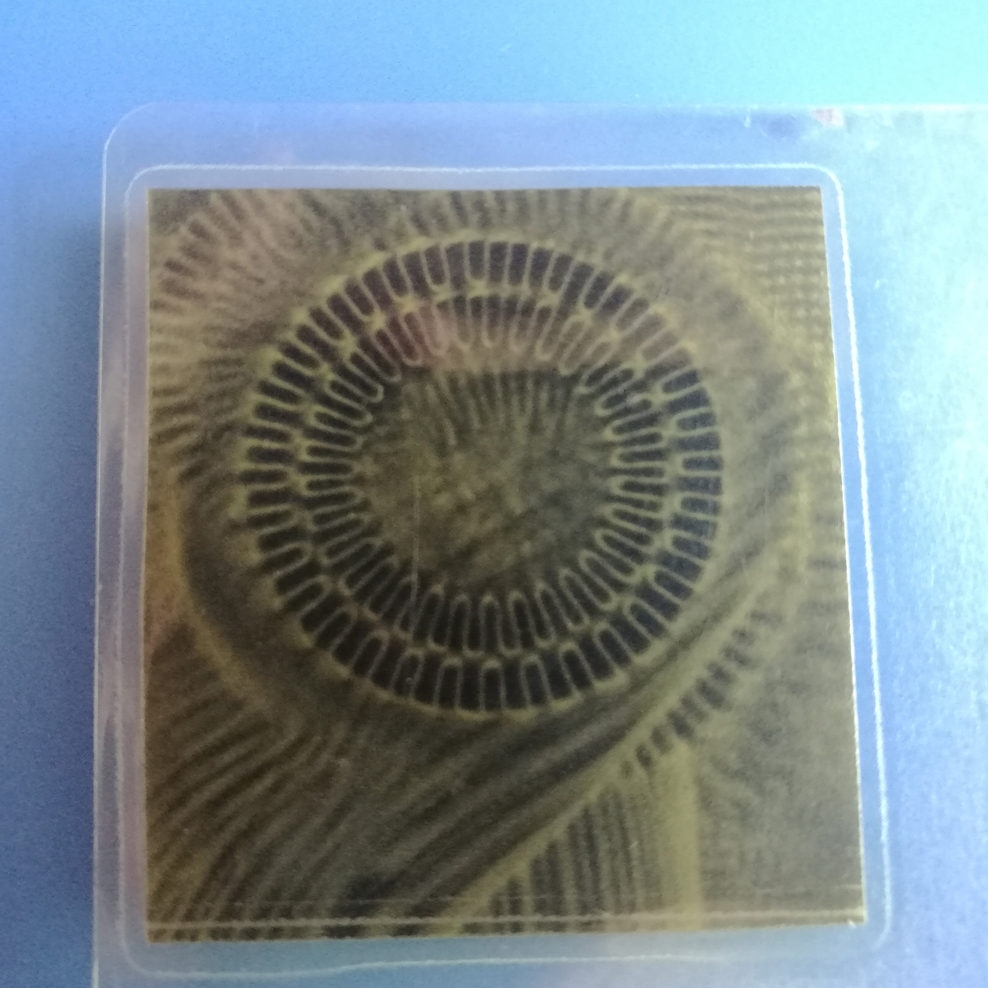 IC-HAUS MU28S 34-32N dual code channel magnetic ring IC-MU150 chip