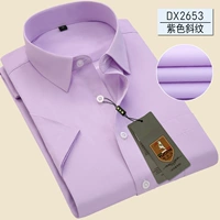 DX2653 фиолетовые косой линии имеют карманы