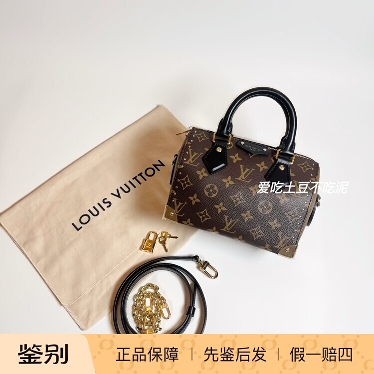 Domestic In-Stock Louis Vuitton Lv Speedy 20 Truck Monogram Handbag Shoulder Crossbody Bag