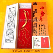 Northeast Changbai Mountain ginseng gift box Mountain Ginseng gift box Mountain Ginseng mountain ginseng with certificate 10 yuan special price