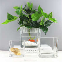 Hipster square hydroponic vessel plant flower pot glass vase transparent square cylinder green water lily fish tank