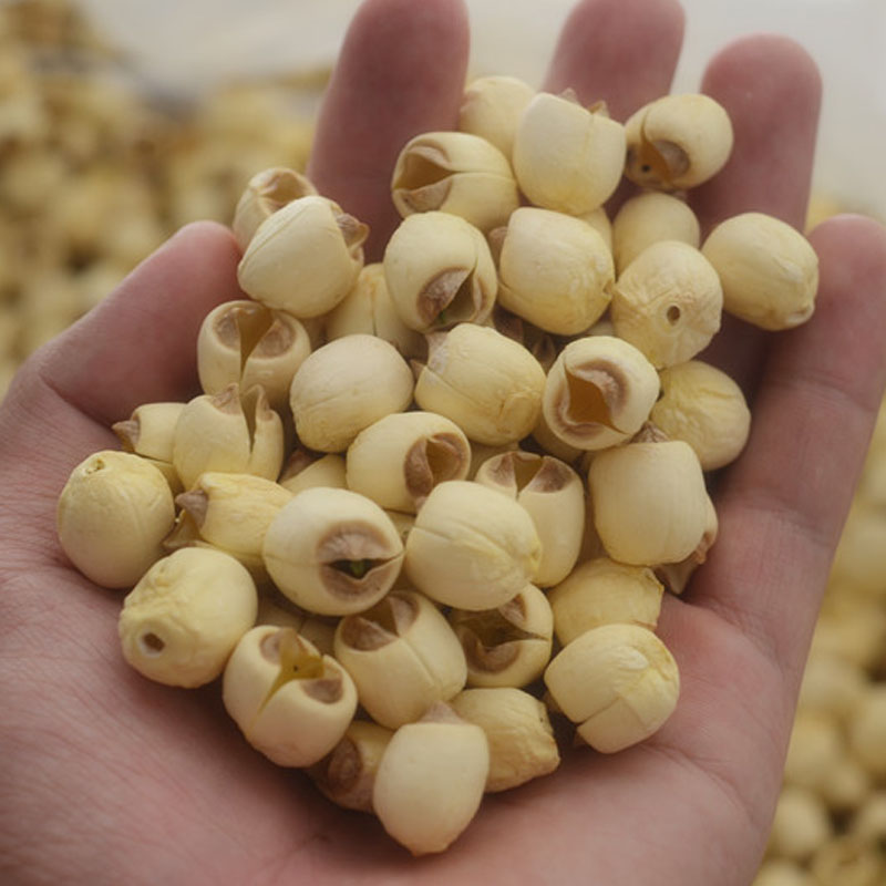 Lotus seeds Fresh lotus seeds dry goods without core Jiangxi specialty Guangchang white lotus handmade core lotus seeds farm dry goods 500g