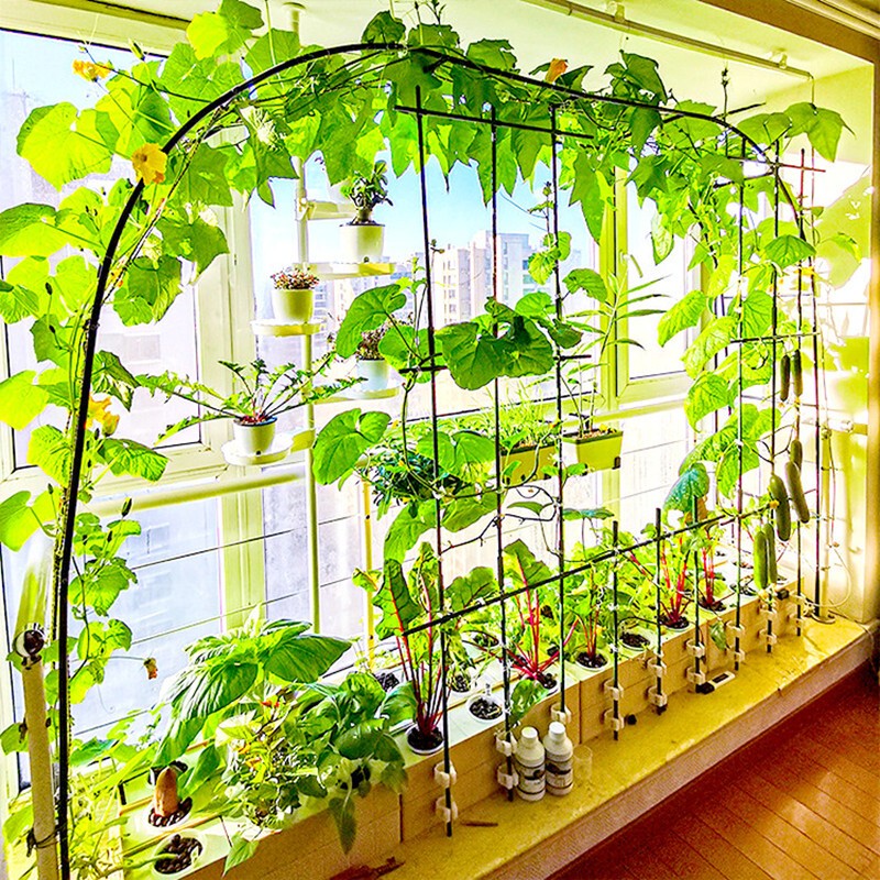 Soilless Cultivation Cucumber Hydroponic Vegetable Growing Kit for Home Indoor Balcony, Smart Box Automatic Pipeline System