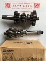 Lifan 200 300 Fengling New Water-cooled Automatic Clutch Engine Gear Main and Sub-Shaft Assembly