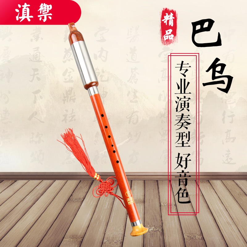 Bawu Redwood Thổi thẳng đứng Bawu Người mới bắt đầu chơi F-G G-A A B-D D-Nhạc cụ đặc biệt - Nhạc cụ dân tộc cổ cầm và đàn tranh