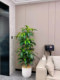 Traveler's Banana Tree Artificial Green Plant Large Nordic Indoor Living Room Floor-Standing Potted Plant Decoration Plant Fake Tree Landscaping