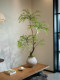 Artificial Green Plant with a High-End Feel, Suitable for Living Room and Tea Room, Potted Fake Flowers, Decorative Ornaments, Soft Decoration, Song Dynasty Aesthetics