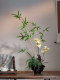 Bamboo Phalaenopsis Bonsai Artificial Green Plant Fake Flower Song-Style High-End Realistic Chinese Tea Room Zen Decorative Ornament