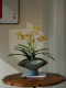 Artificial Orchid Flower in a Tall Pot, Fake Decoration for Entrance, Tea Room, New Chinese Style, Song Dynasty Aesthetics, Desktop Decoration