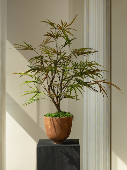 Colorful Gradient Peacock Wood Fortune Tree, Artificial Green Plant, High-End Decorative Ornament, Fake Flower, Small Potted Plant, Vintage Tea Room