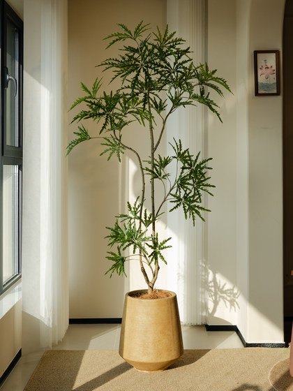 Peacock Wood Artificial Green Plant Living Room Decoration Ornament Fake Tree Large Floor-Standing Potted Plant High-End Light Luxury Vintage Atmosphere
